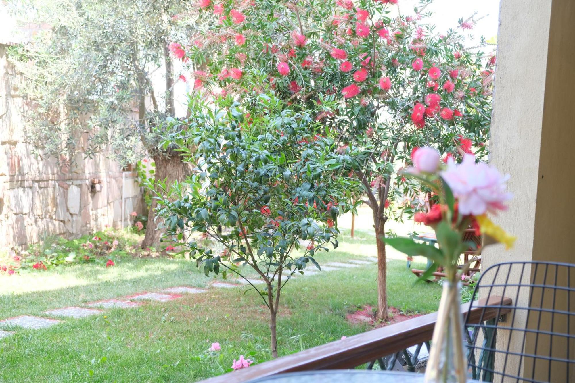 Niluefer Butik Otel (Adults Only) Ayvalı المظهر الخارجي الصورة