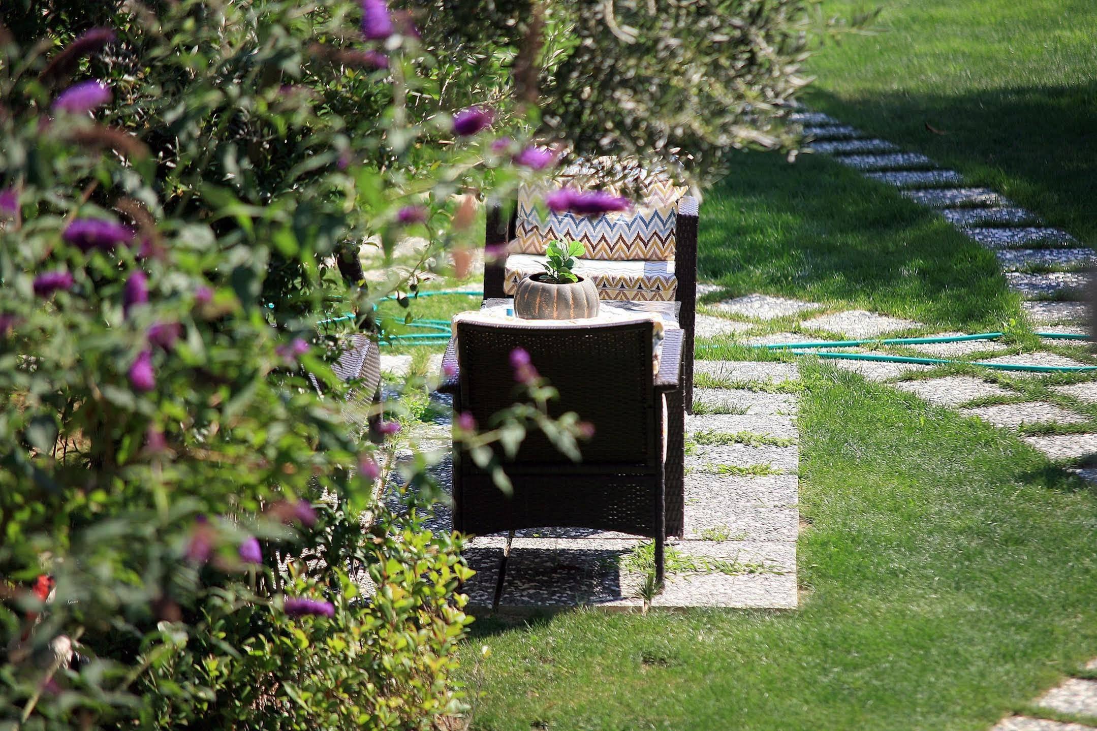 Niluefer Butik Otel (Adults Only) Ayvalı المظهر الخارجي الصورة